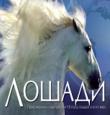 М.Харис: Лошади Это издание содержит детальную информацию о происхождении и характеристиках 100 пород лошадей со всего мира. Текст сопровождается картами, таблицами и замечательными фотографиями, сделанными ведущими мировыми фотохудожниками. Книга написана живым, доступным языком и рассчитана на широкий круг читателей. http://knigosvit.com.ua